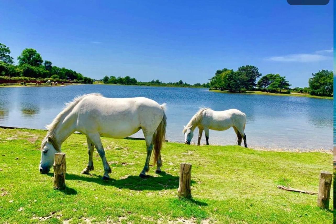 Hotel Beach Haven New Milton Esterno foto